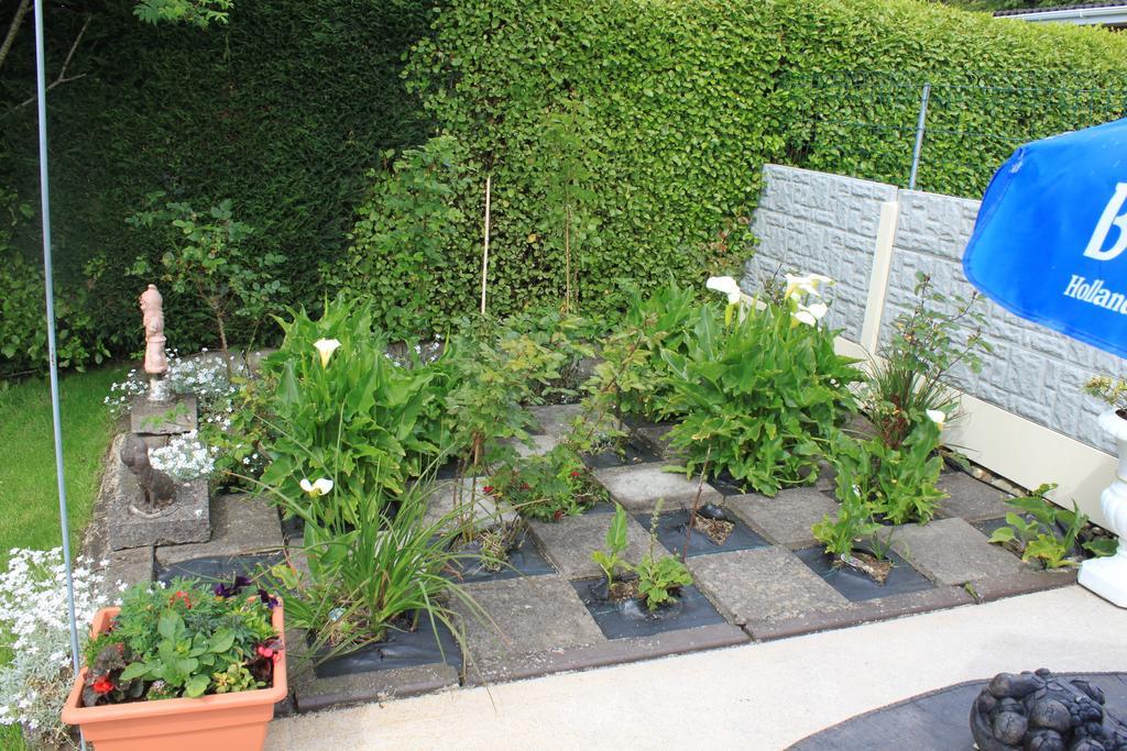 Flushing Meadow Bed And Breakfast Ballinhassig Экстерьер фото