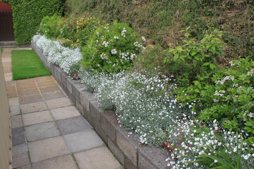 Flushing Meadow Bed And Breakfast Ballinhassig Экстерьер фото